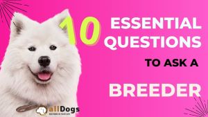  Picture of 10 Essential Questions to Ask a Breeder Before Getting a Puppy