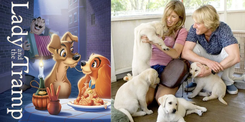 10 Best dog movies ever